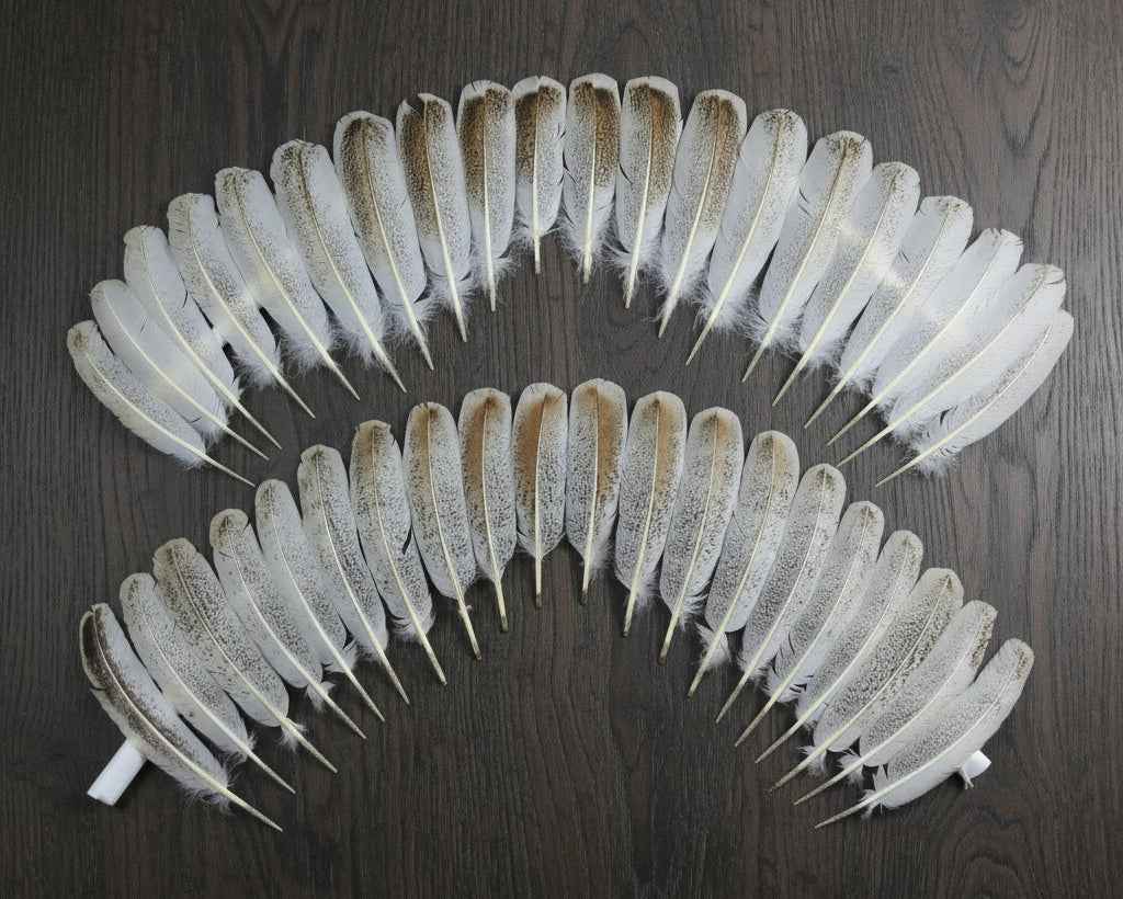 40 Pcs Turkey Wing Feathers, Fly Tying Material,Craft Feathers,Natural Turkey Feathers (2120)