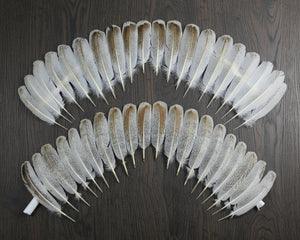 natural turkey feathers