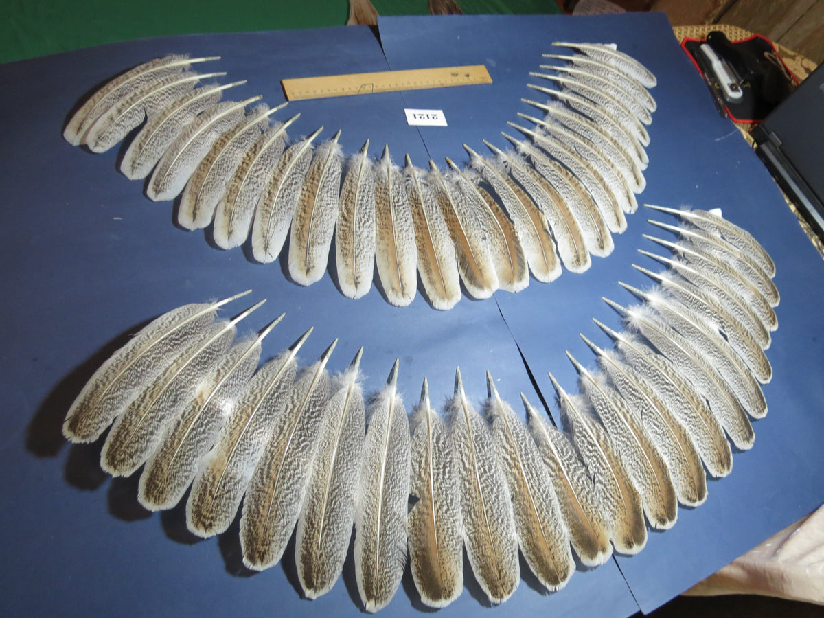 46 Pcs Turkey Wing Feathers, Fly Tying Material,Craft Feathers,Natural Turkey Feathers (2121)