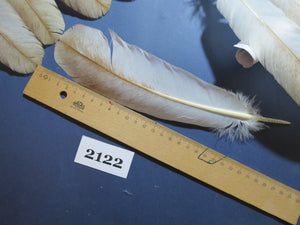 42 Pcs Turkey Wing Feathers, Fly Tying Material,Craft Feathers,Natural Turkey Feathers (2122)