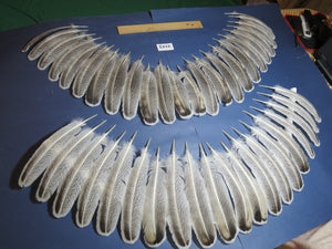 44 Pcs Turkey Wing Feathers, Fly Tying Material,Craft Feathers,Natural Turkey Feathers (2123)