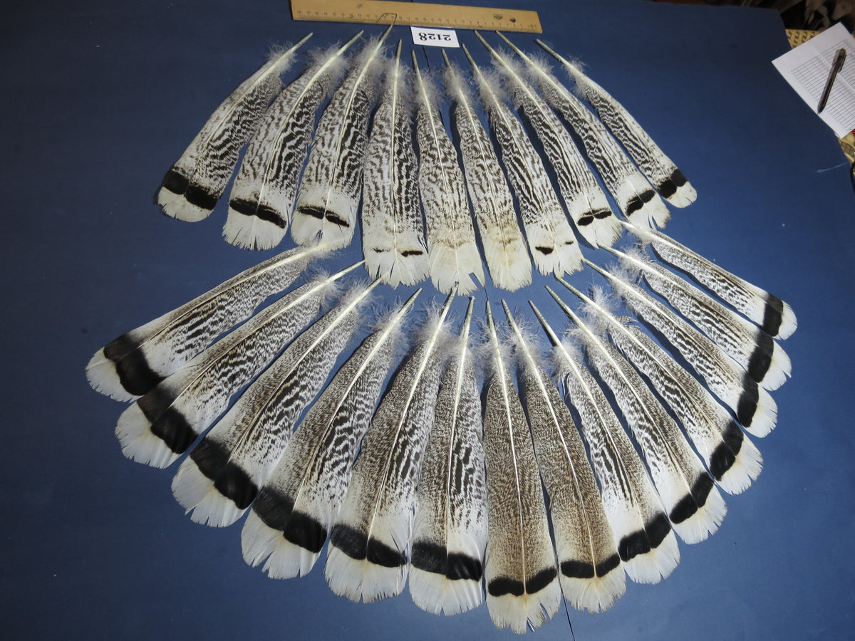 24 Pcs Turkey Tail Feathers, Fly Tying Material,Craft Feathers,Natural Turkey Feathers (2128)