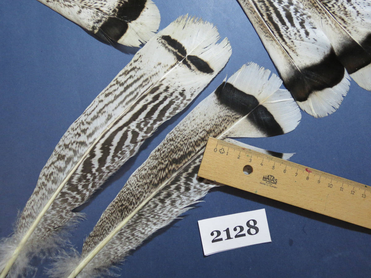 24 Pcs Turkey Tail Feathers, Fly Tying Material,Craft Feathers,Natural Turkey Feathers (2128)