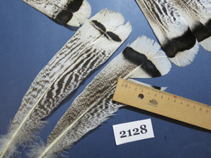 24 Pcs Turkey Tail Feathers, Fly Tying Material,Craft Feathers,Natural Turkey Feathers (2128)