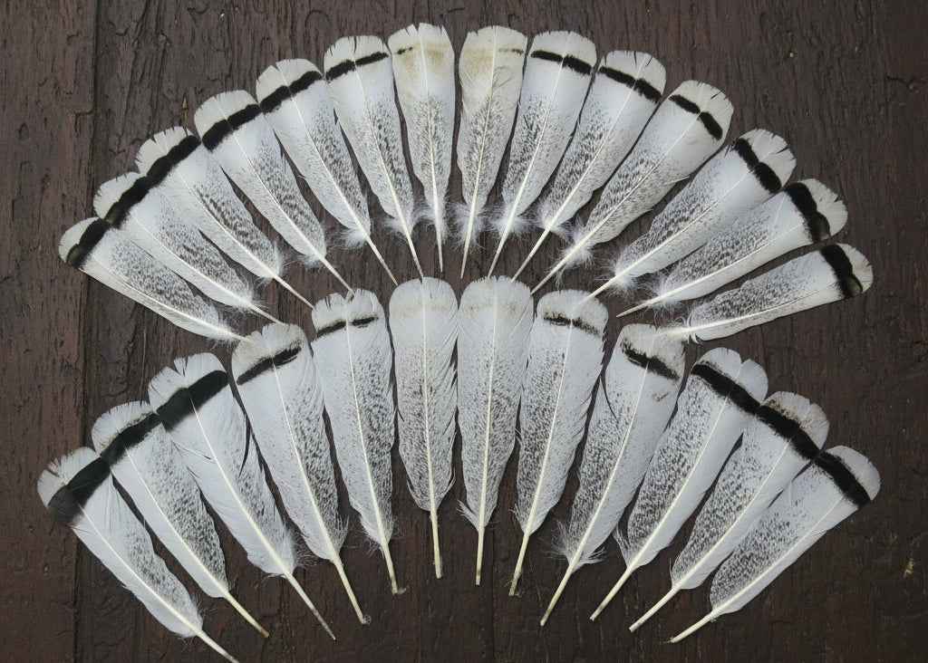 26 Pcs Turkey Tail Feathers, Fly Tying Material,Craft Feathers,Natural Turkey Feathers (2130)