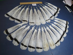 26 Pcs Turkey Tail Feathers, Fly Tying Material,Craft Feathers,Natural Turkey Feathers (2130)