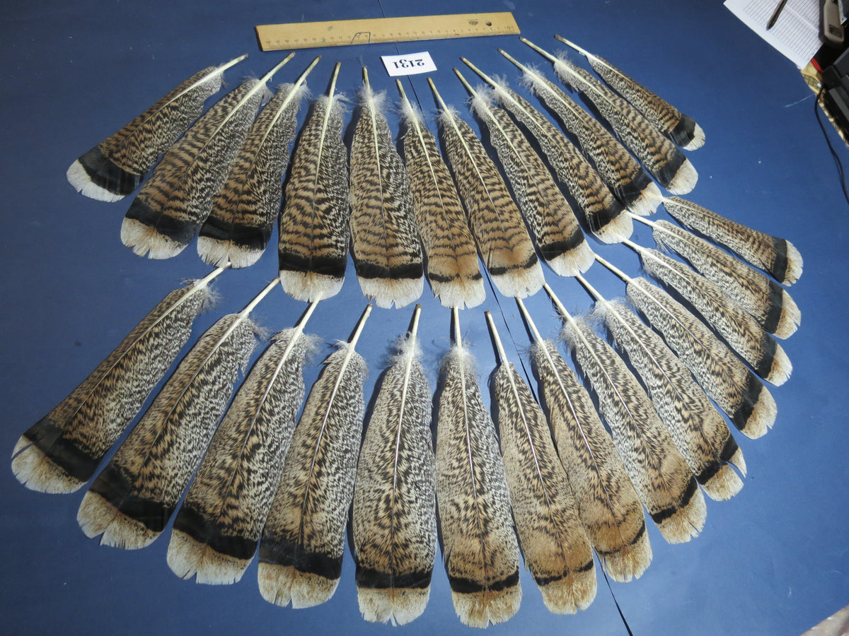 26 Pcs Turkey Tail Feathers, Fly Tying Material,Craft Feathers,Natural Turkey Feathers (2131)