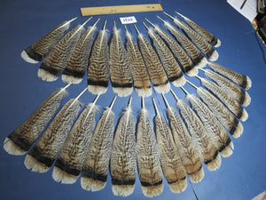 26 Pcs Turkey Tail Feathers, Fly Tying Material,Craft Feathers,Natural Turkey Feathers (2131)