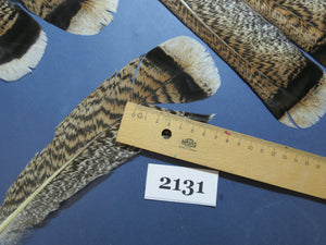 26 Pcs Turkey Tail Feathers, Fly Tying Material,Craft Feathers,Natural Turkey Feathers (2131)