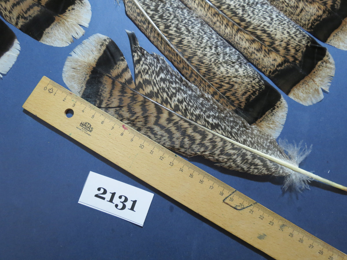26 Pcs Turkey Tail Feathers, Fly Tying Material,Craft Feathers,Natural Turkey Feathers (2131)