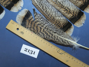 26 Pcs Turkey Tail Feathers, Fly Tying Material,Craft Feathers,Natural Turkey Feathers (2131)