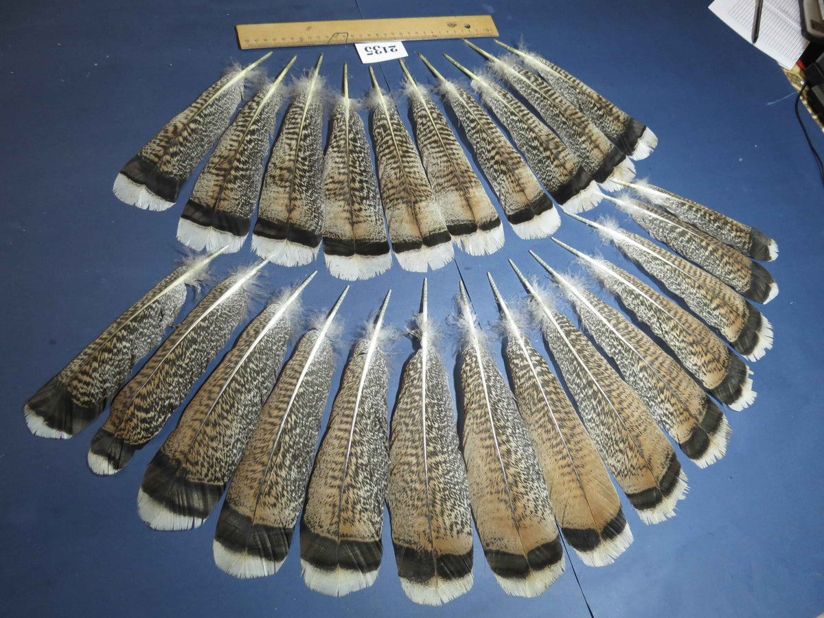 24 Pcs Turkey Tail Feathers, Fly Tying Material,Craft Feathers,Natural Turkey Feathers (2135)