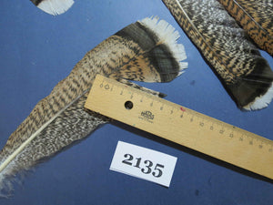 24 Pcs Turkey Tail Feathers, Fly Tying Material,Craft Feathers,Natural Turkey Feathers (2135)