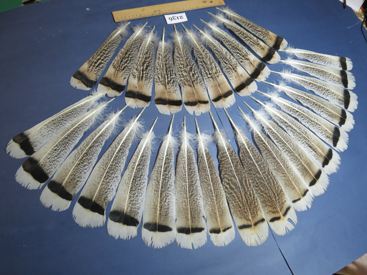 28 Pcs Turkey Tail Feathers, Fly Tying Material,Craft Feathers,Natural Turkey Feathers (2136)