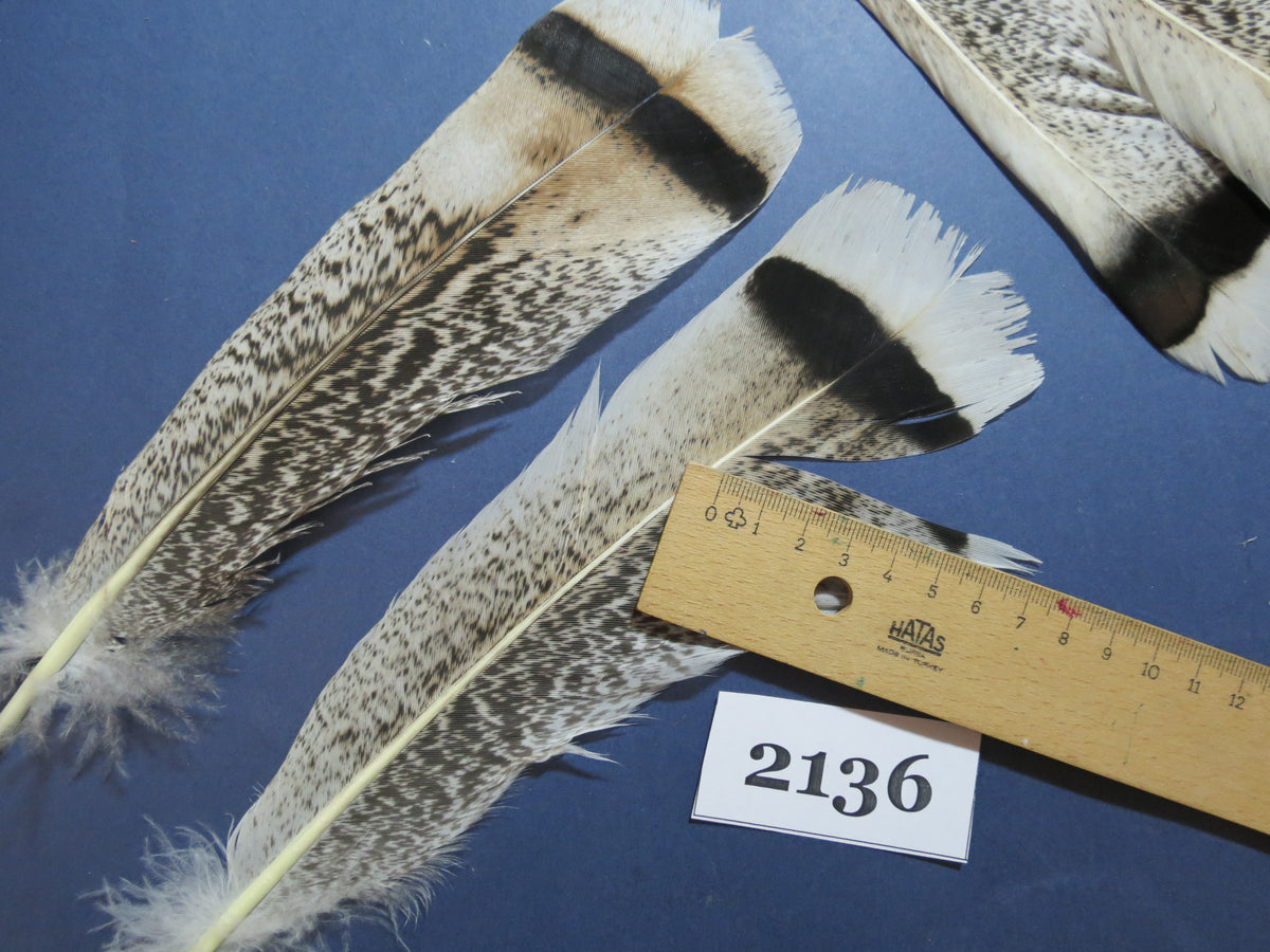 28 Pcs Turkey Tail Feathers, Fly Tying Material,Craft Feathers,Natural Turkey Feathers (2136)
