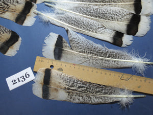 28 Pcs Turkey Tail Feathers, Fly Tying Material,Craft Feathers,Natural Turkey Feathers (2136)