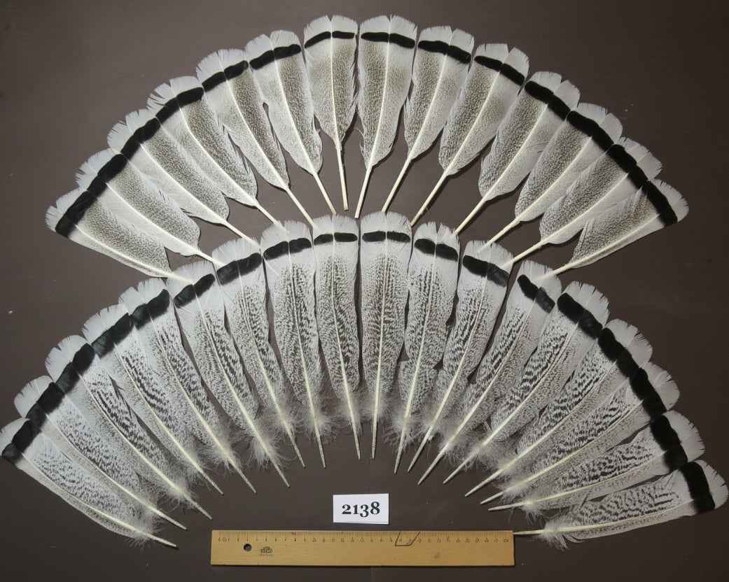 32 Pcs Turkey Tail Feathers, Fly Tying Material,Craft Feathers,Natural Turkey Feathers (2138)