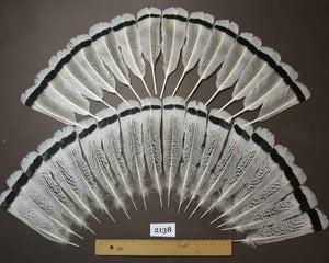32 Pcs Turkey Tail Feathers, Fly Tying Material,Craft Feathers,Natural Turkey Feathers (2138)