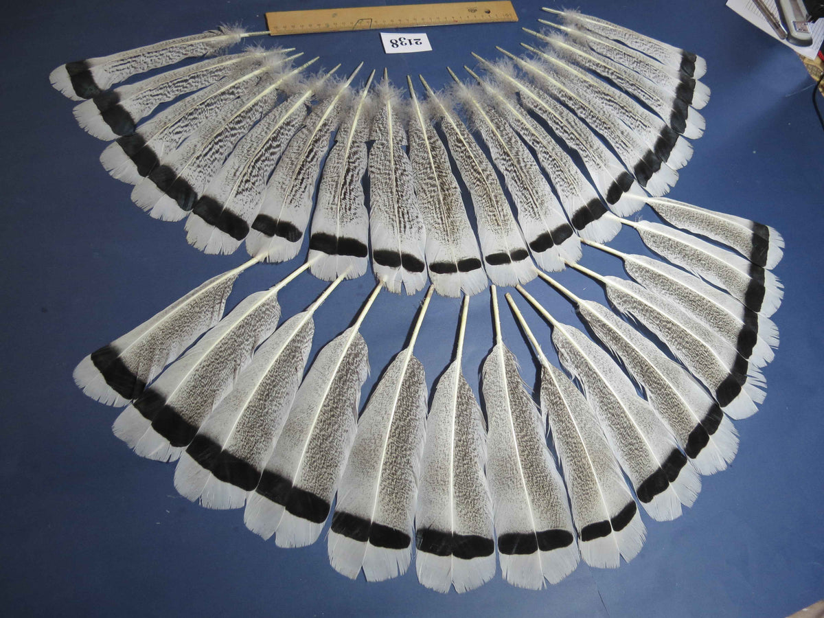 32 Pcs Turkey Tail Feathers, Fly Tying Material,Craft Feathers,Natural Turkey Feathers (2138)