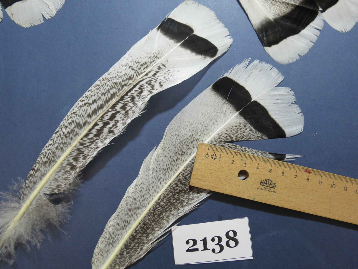 32 Pcs Turkey Tail Feathers, Fly Tying Material,Craft Feathers,Natural Turkey Feathers (2138)