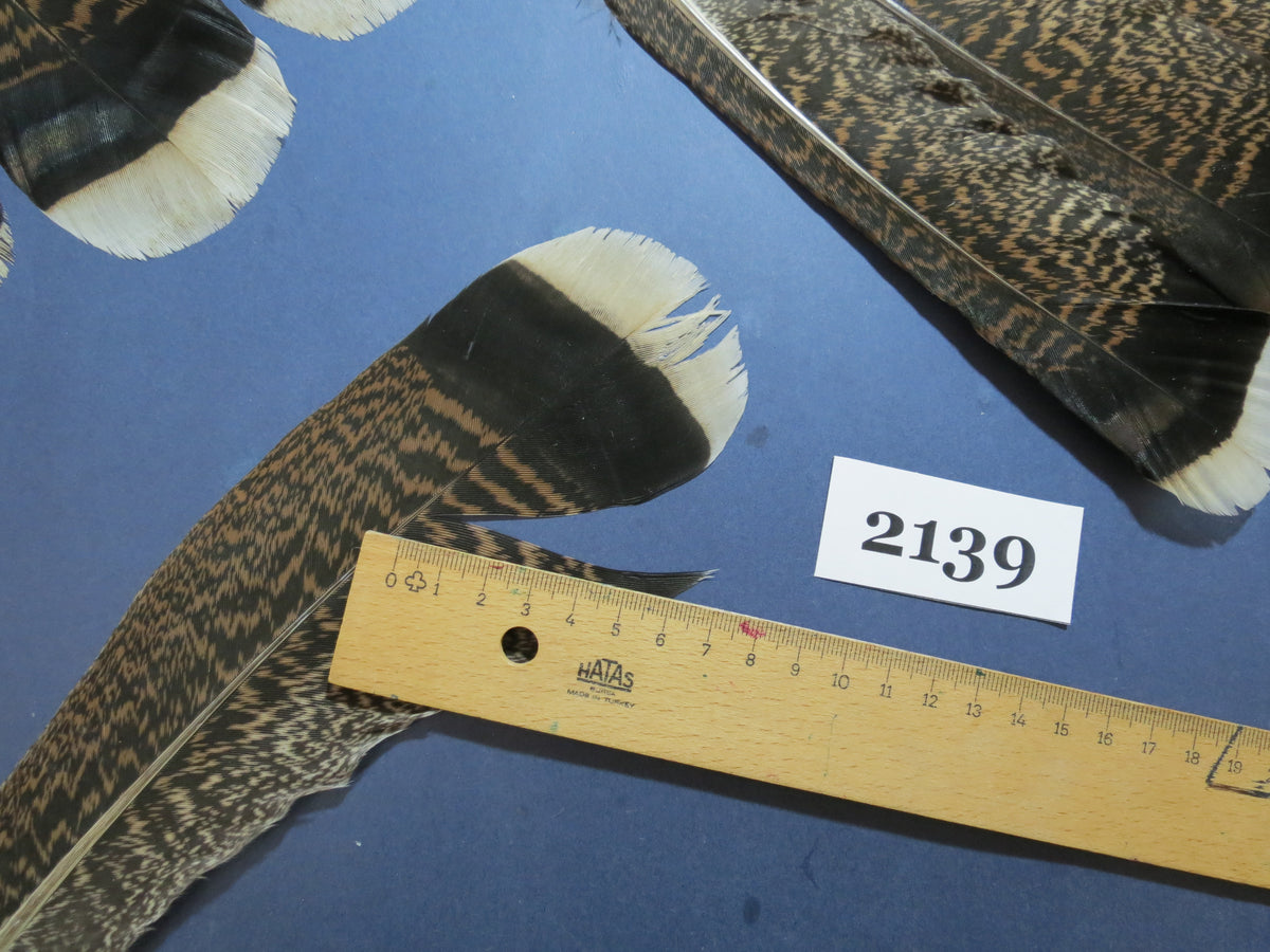 30 Pcs Turkey Tail Feathers, Fly Tying Material,Craft Feathers,Natural Turkey Feathers (2139)