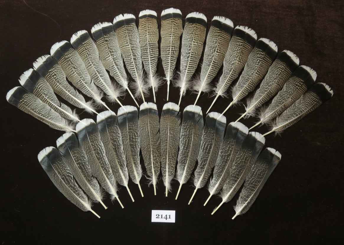 28 Pcs Turkey Tail Feathers, Fly Tying Material,Craft Feathers,Natural Turkey Feathers (2141)