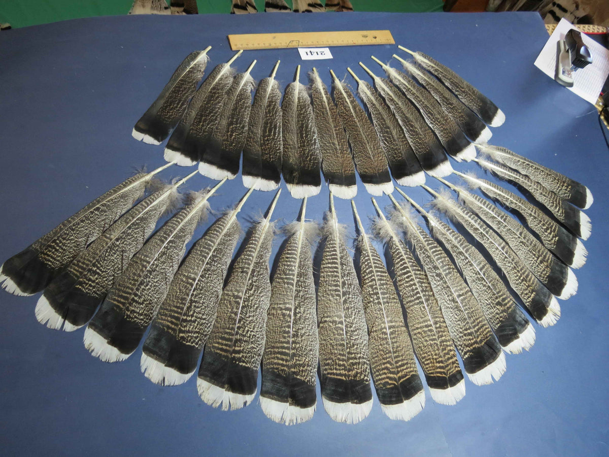 28 Pcs Turkey Tail Feathers, Fly Tying Material,Craft Feathers,Natural Turkey Feathers (2141)