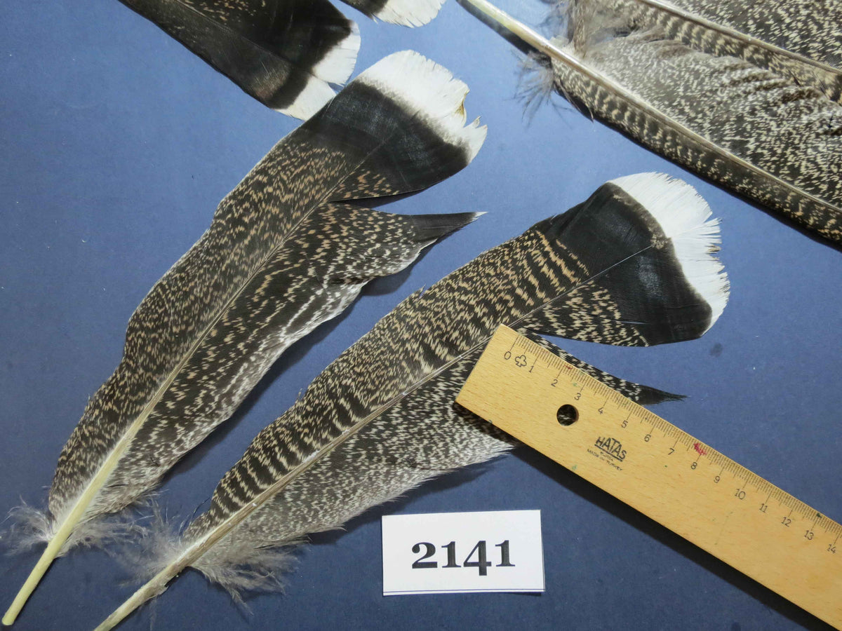 28 Pcs Turkey Tail Feathers, Fly Tying Material,Craft Feathers,Natural Turkey Feathers (2141)
