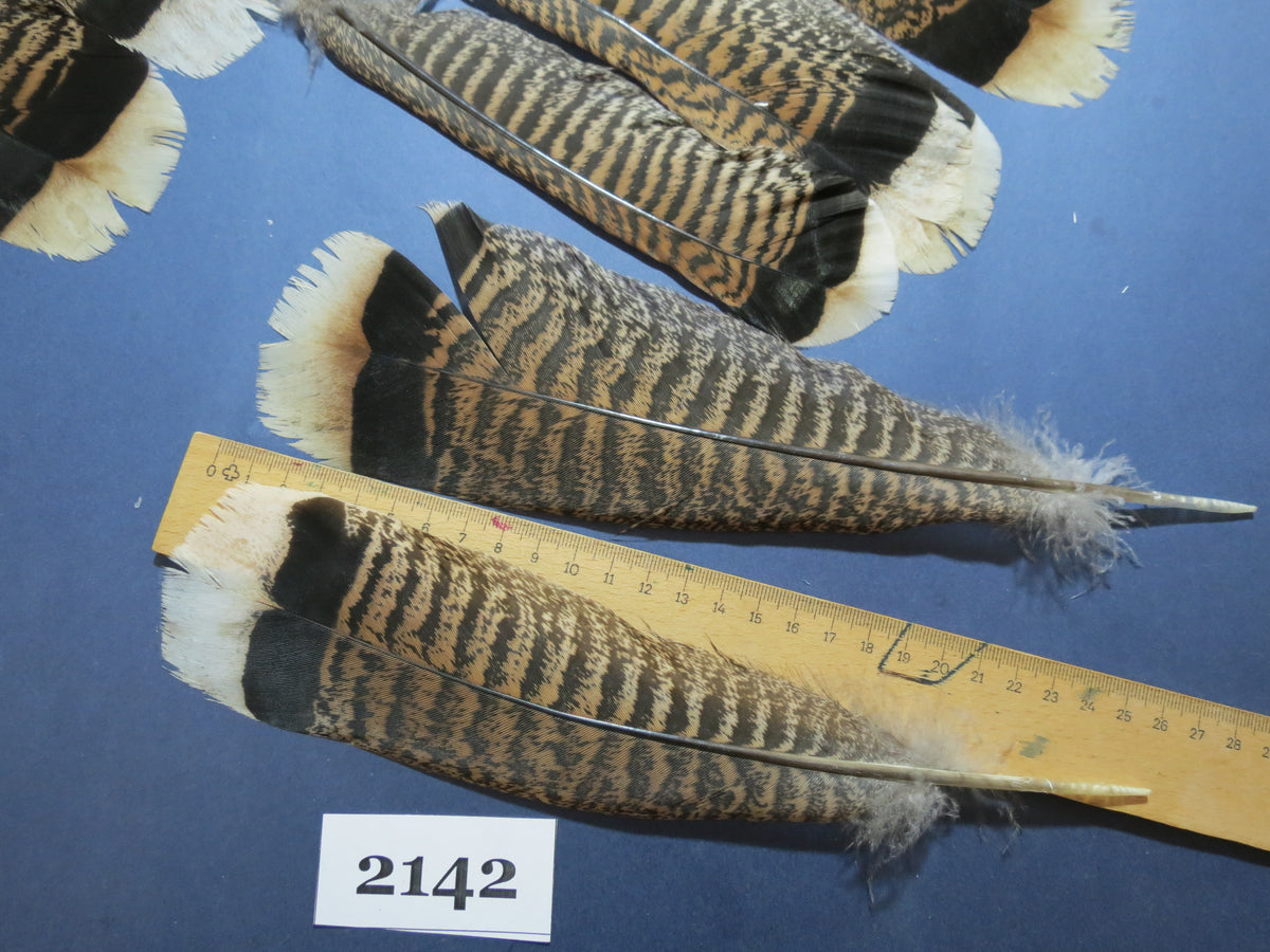 28 Pcs Turkey Tail Feathers, Fly Tying Material,Craft Feathers,Natural Turkey Feathers (2142)