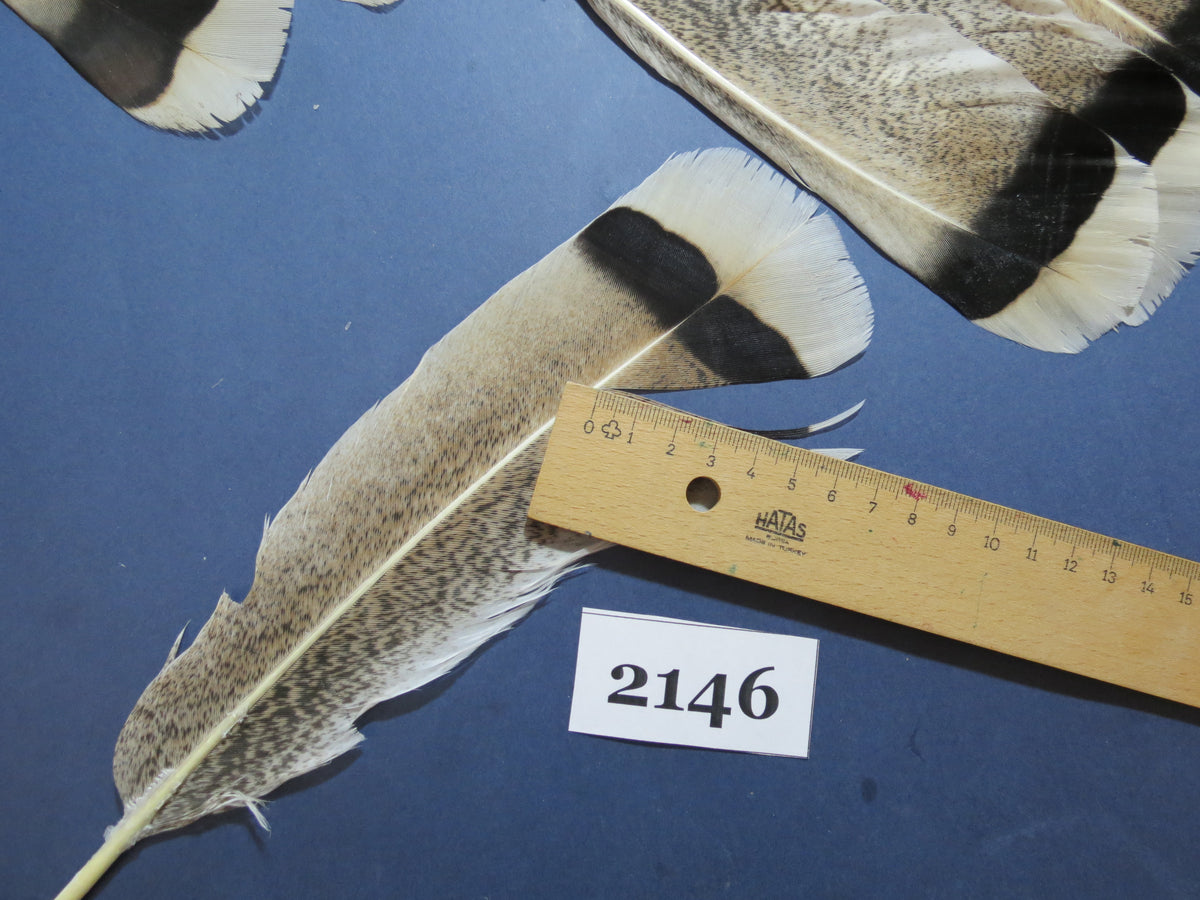 28 Pcs Turkey Tail Feathers, Fly Tying Material,Craft Feathers,Natural Turkey Feathers (2146)