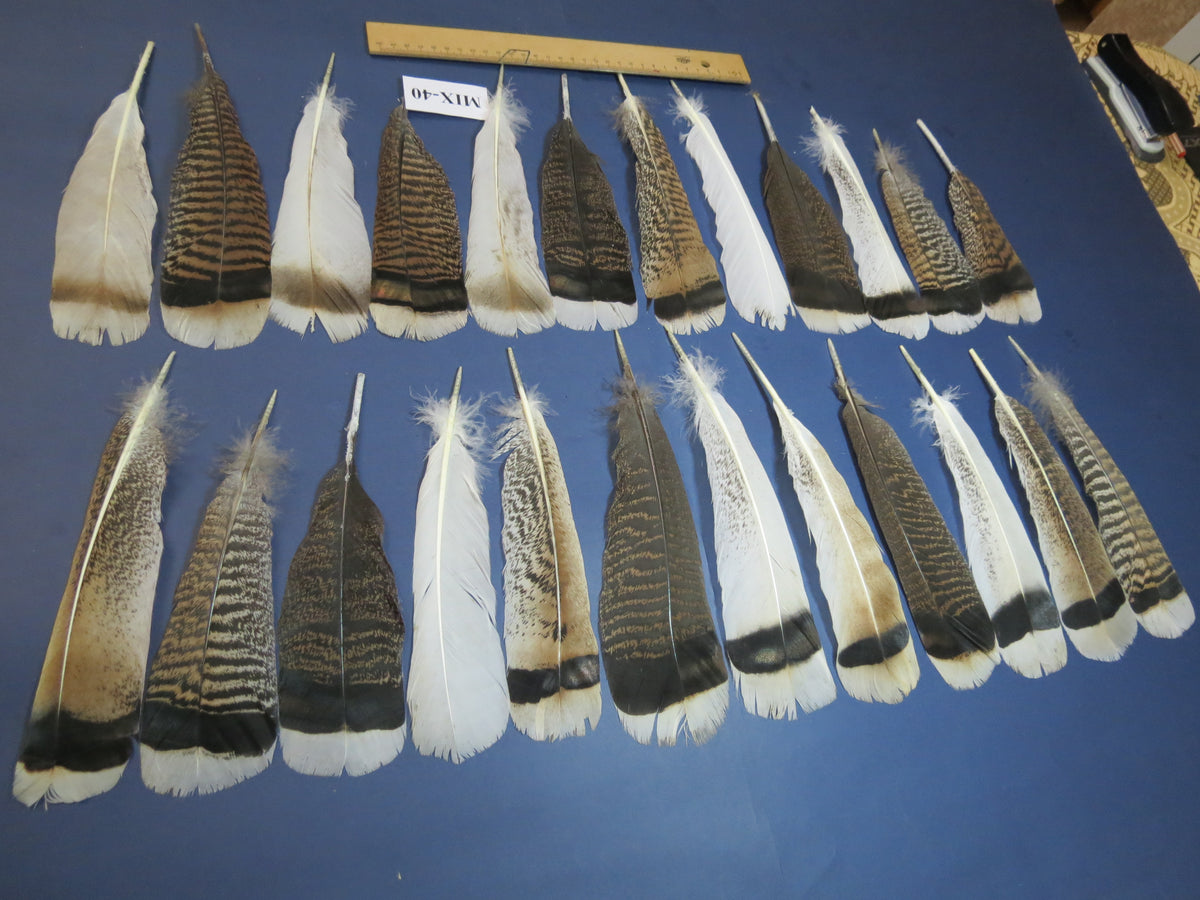 24 Pcs Natural Turkey Tail Feathers, Fly Tying Materials, Genuine Feathers (MIX-40)