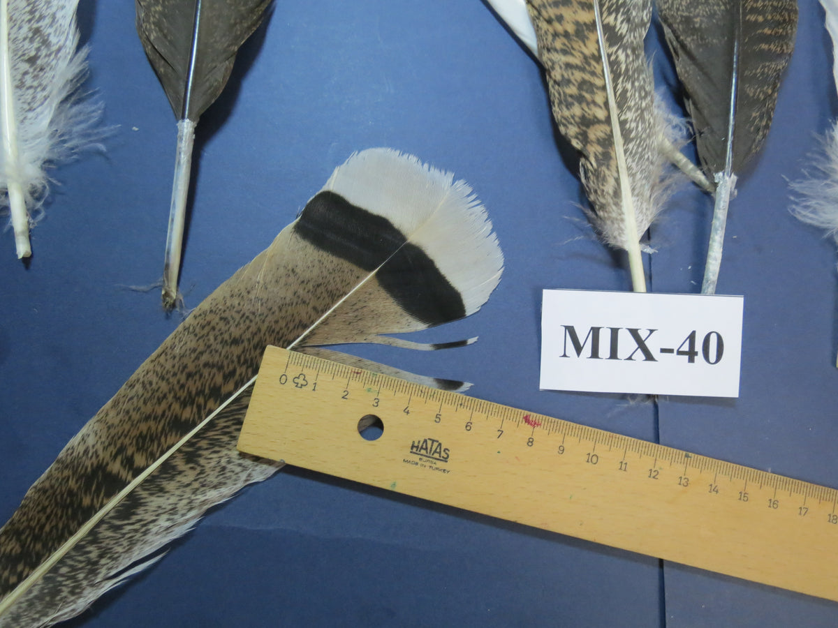 24 Pcs Natural Turkey Tail Feathers, Fly Tying Materials, Genuine Feathers (MIX-40)