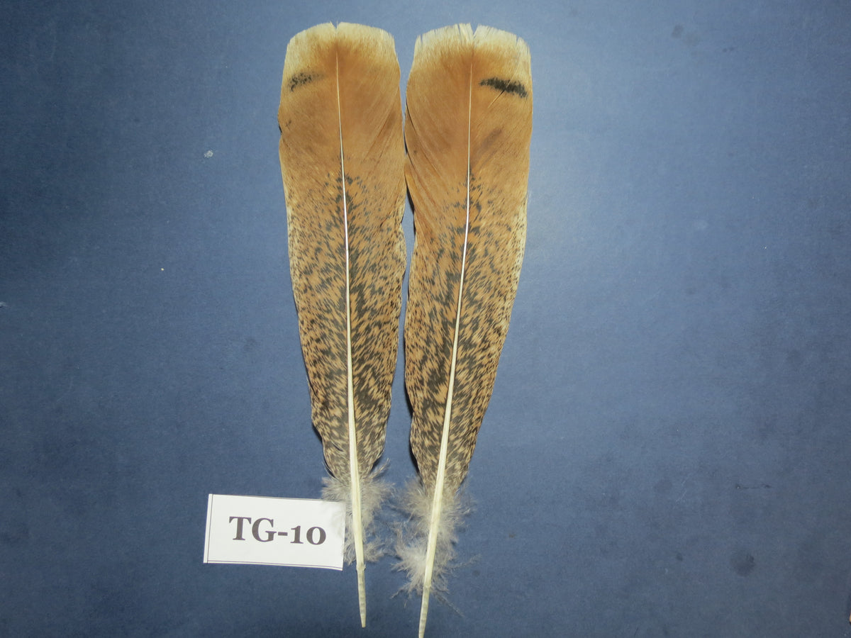 Tiger Turkey Tail Feathers  (One Pair Set) ,Fly Tying Material,Craft Feathers,Natural Turkey Feathers.