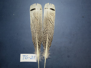 Tiger Turkey Tail Feathers  (One Pair Set) ,Fly Tying Material,Craft Feathers,Natural Turkey Feathers.