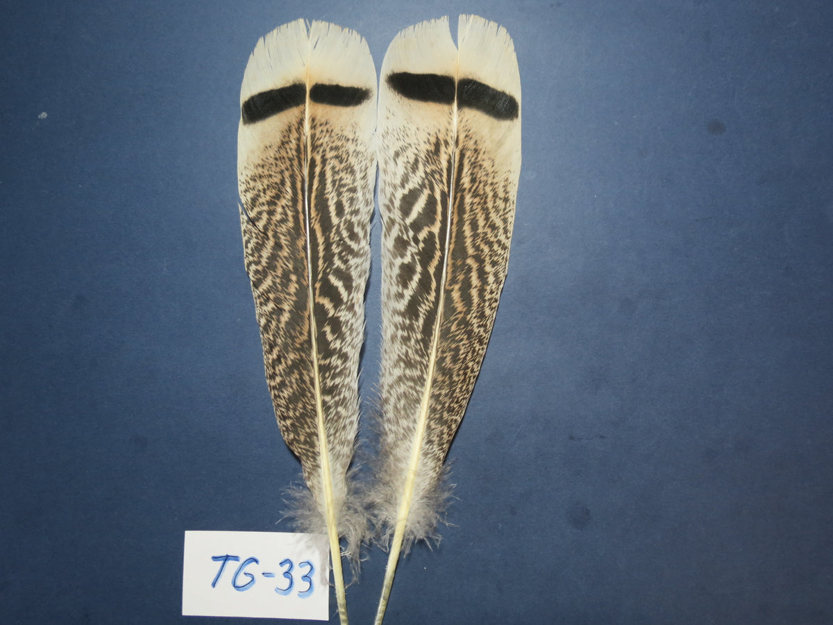 Tiger Turkey Tail Feathers  (One Pair Set) ,Fly Tying Material,Craft Feathers,Natural Turkey Feathers.