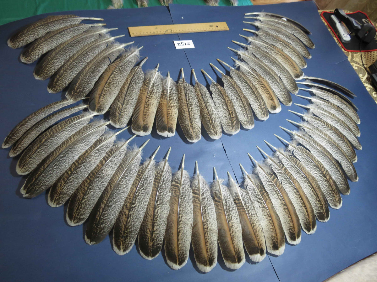 48 Pcs Turkey Wing Feathers, Fly Tying Material,Craft Feathers,Natural Turkey Feathers (2152)