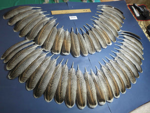 48 Pcs Turkey Wing Feathers, Fly Tying Material,Craft Feathers,Natural Turkey Feathers (2152)