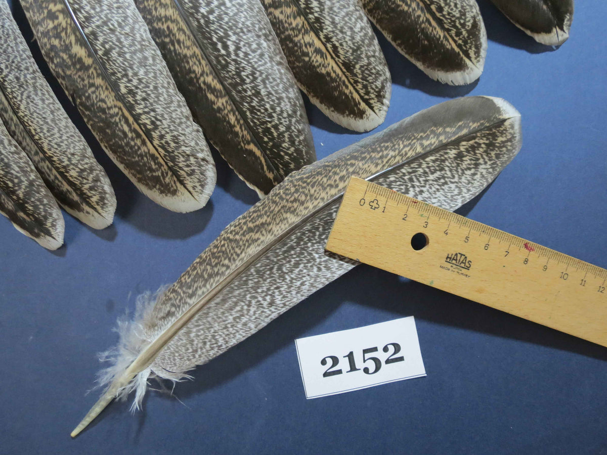 48 Pcs Turkey Wing Feathers, Fly Tying Material,Craft Feathers,Natural Turkey Feathers (2152)