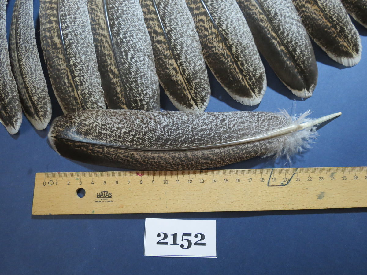 48 Pcs Turkey Wing Feathers, Fly Tying Material,Craft Feathers,Natural Turkey Feathers (2152)