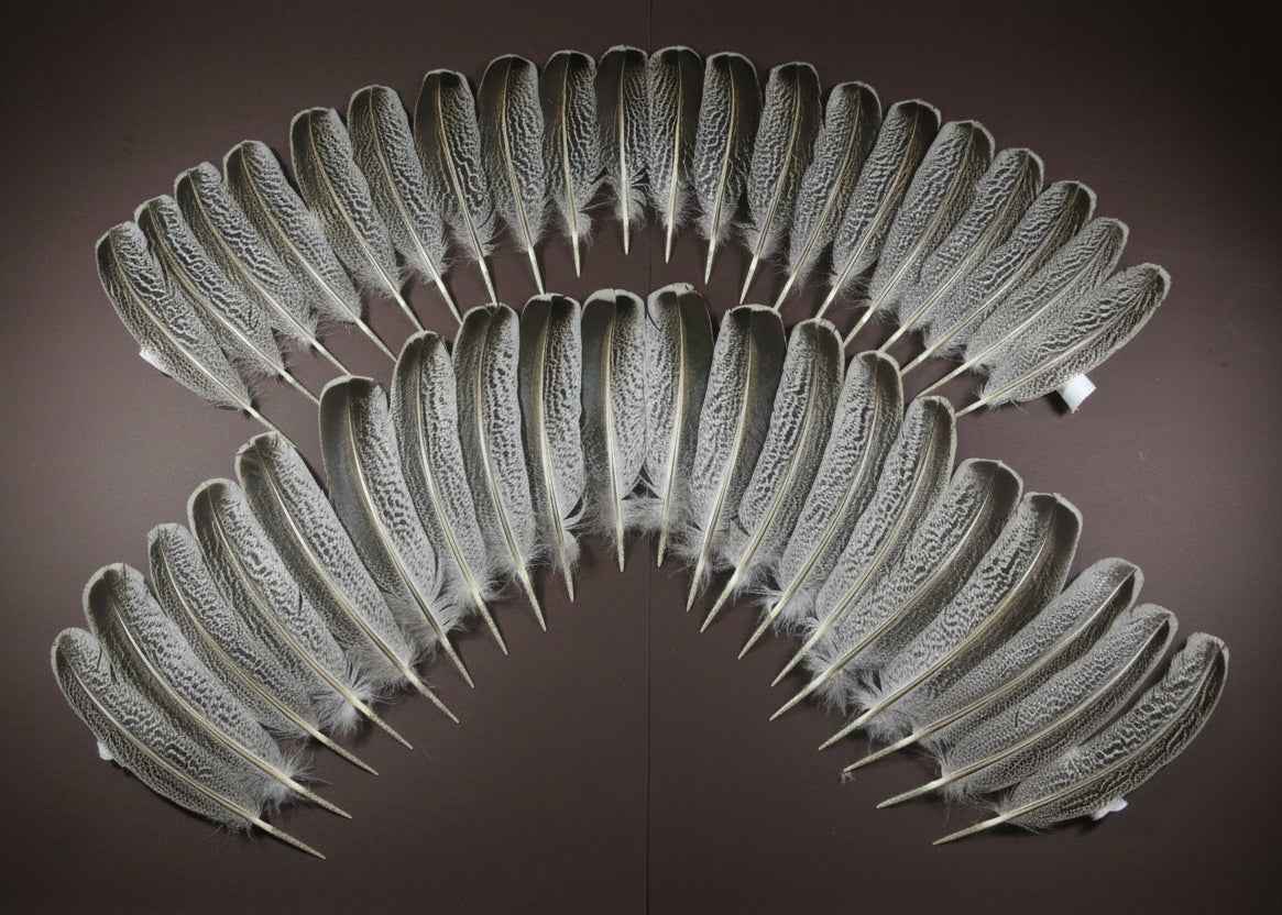 40 Pcs Turkey Wing Feathers, Fly Tying Material,Craft Feathers,Natural Turkey Feathers (2153)
