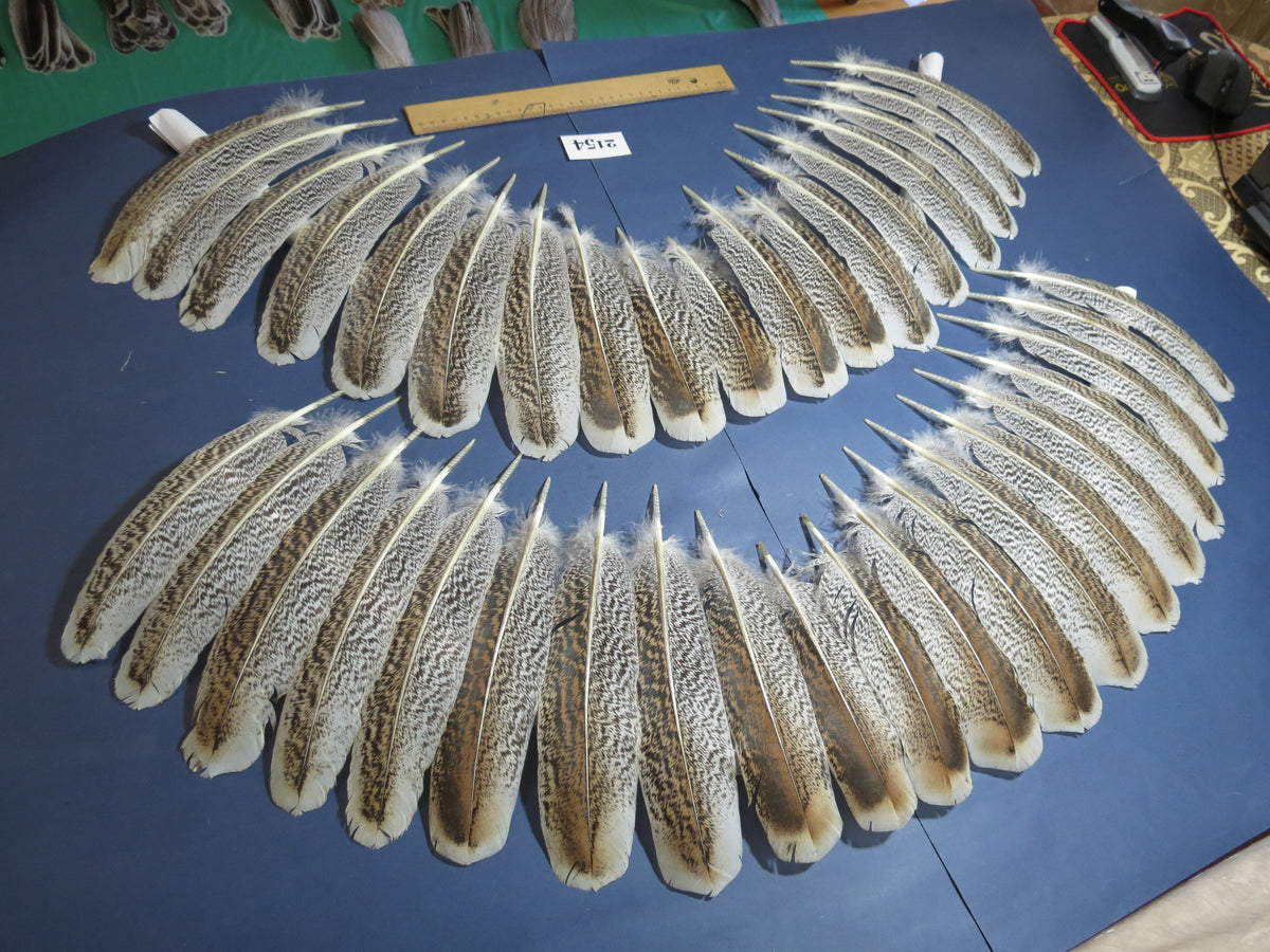 38 Pcs Turkey Wing Feathers, Fly Tying Material,Craft Feathers,Natural Turkey Feathers (2154)