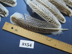 38 Pcs Turkey Wing Feathers, Fly Tying Material,Craft Feathers,Natural Turkey Feathers (2154)