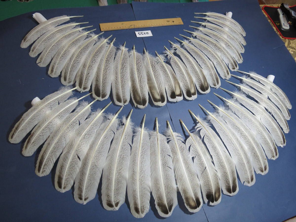 38 Pcs Turkey Wing Feathers, Fly Tying Material,Craft Feathers,Natural Turkey Feathers (2155)
