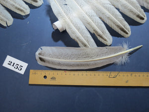 38 Pcs Turkey Wing Feathers, Fly Tying Material,Craft Feathers,Natural Turkey Feathers (2155)