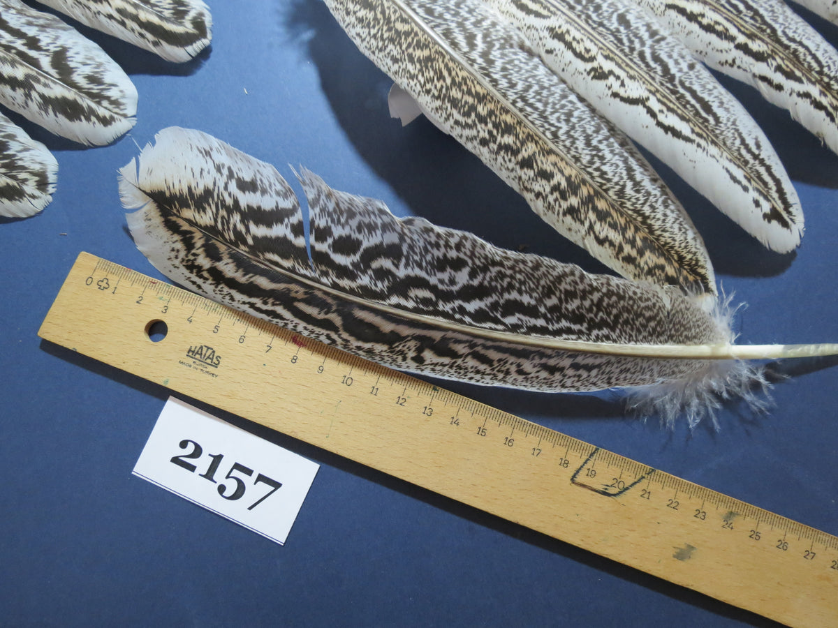 44 Pcs Turkey Wing Feathers, Fly Tying Material,Craft Feathers,Natural Turkey Feathers (2157)