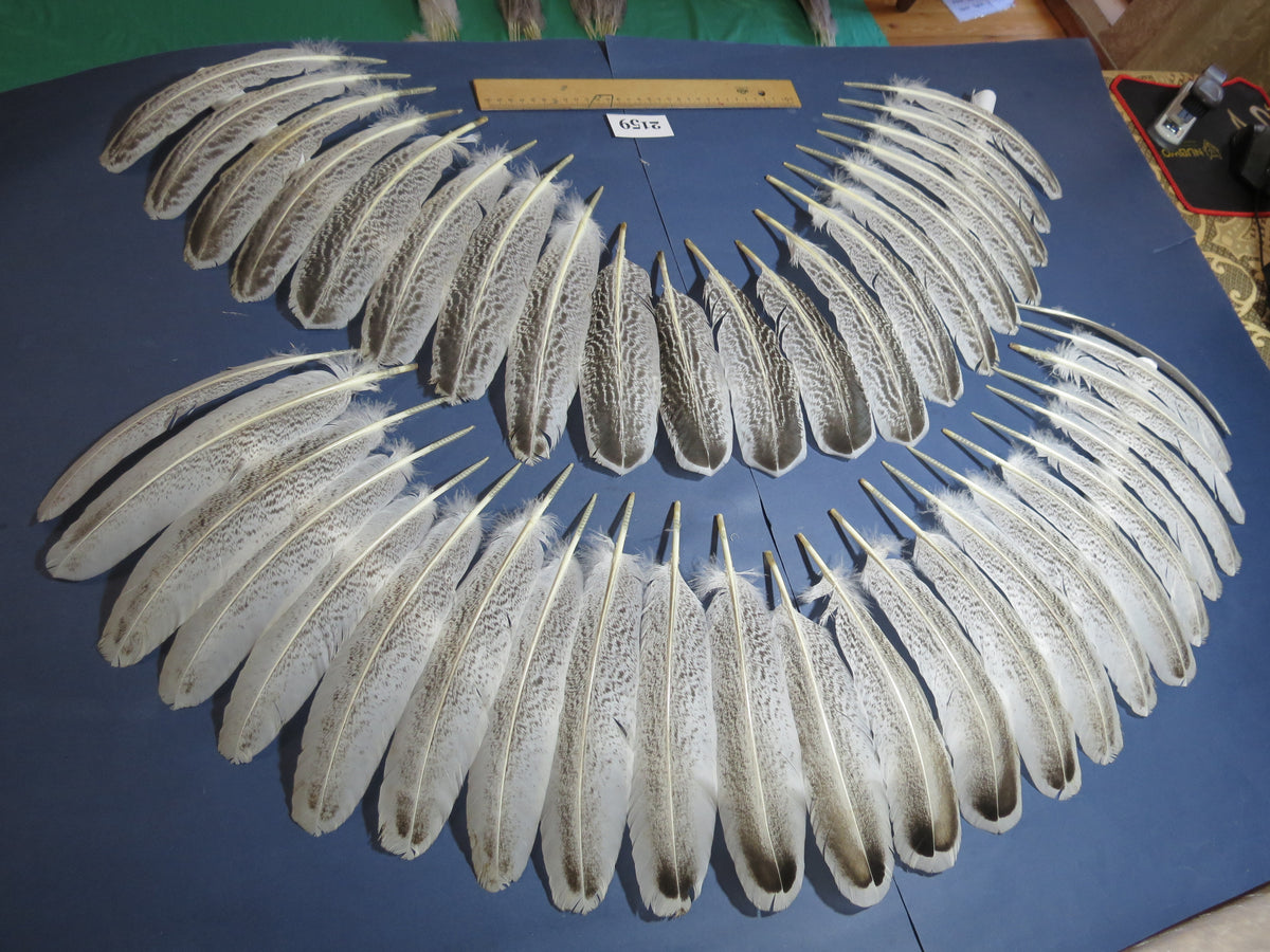 44 Pcs Turkey Wing Feathers, Fly Tying Material,Craft Feathers,Natural Turkey Feathers (2159)