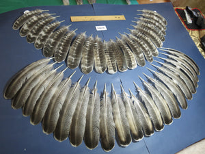 42 Pcs Turkey Wing Feathers, Fly Tying Material,Craft Feathers,Natural Turkey Feathers (2160)