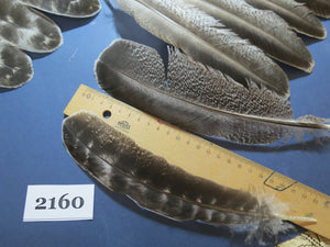 42 Pcs Turkey Wing Feathers, Fly Tying Material,Craft Feathers,Natural Turkey Feathers (2160)