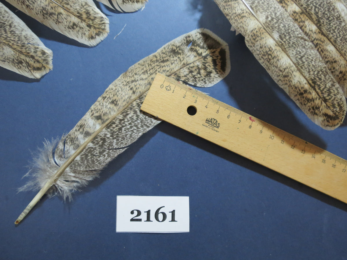 48 Pcs Turkey Wing Feathers, Fly Tying Material,Craft Feathers,Natural Turkey Feathers (2161)