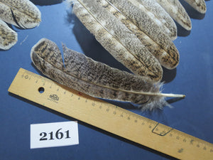 48 Pcs Turkey Wing Feathers, Fly Tying Material,Craft Feathers,Natural Turkey Feathers (2161)